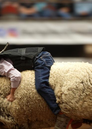 Connor Webb Mutton Bustin' 2022