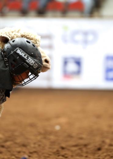 top 5 mutton busters of the 90th San Angelo Rodeo