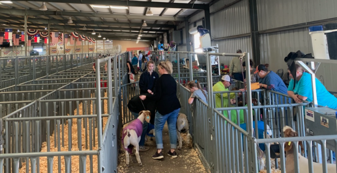 Barns Open for the 2021 San Angelo Livestock Show