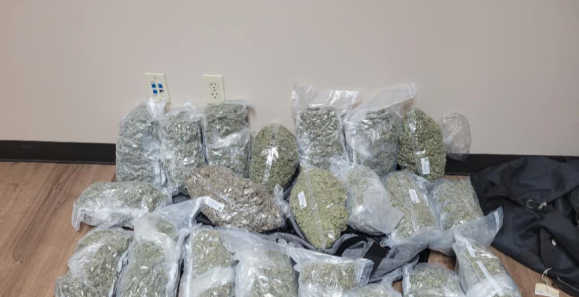 19 Pounds of Marijuana