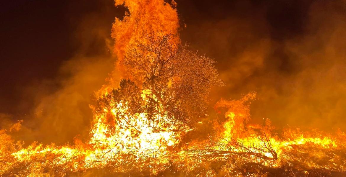 TAMFS Wildfire Photo May 17, 2022 (Contributed/C. Lambert/TAMFS)