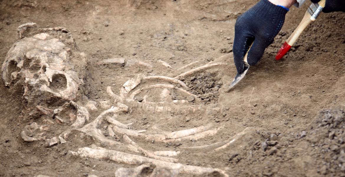 Archaeology