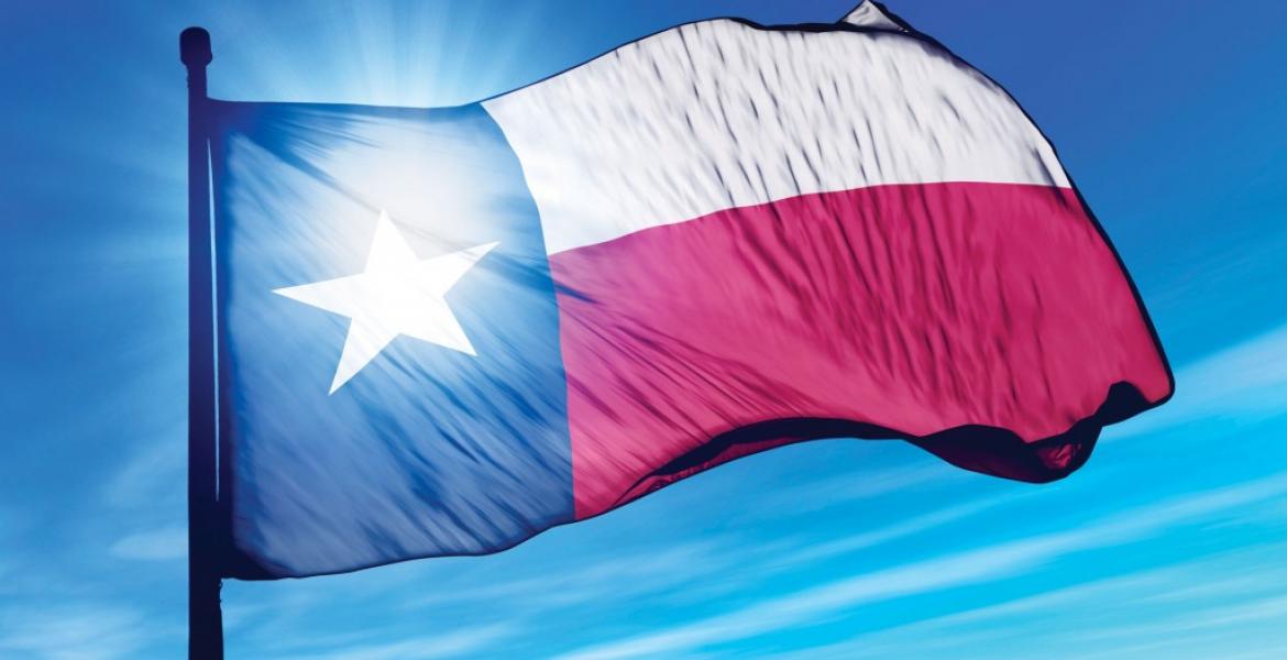 State of Texas flag