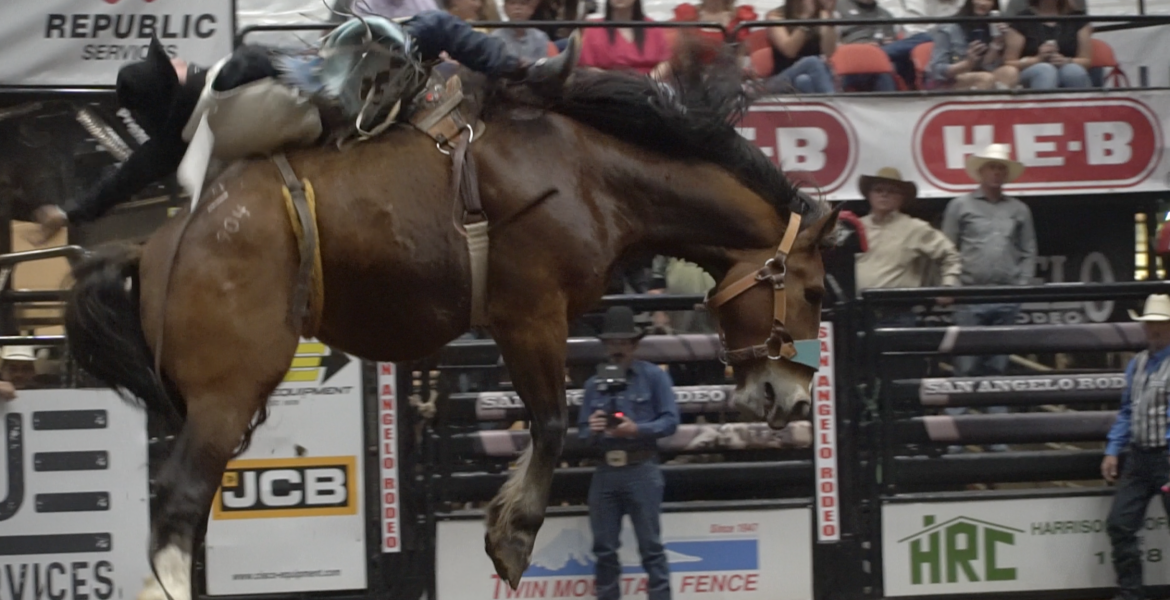 San Angelo Stock Show and Rodeo Day 2 Livestock