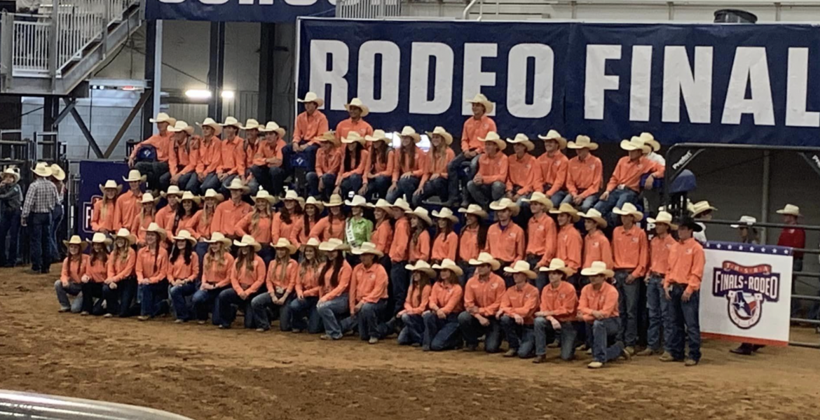 San Angelo Stock Show and Rodeo Day 2 Livestock