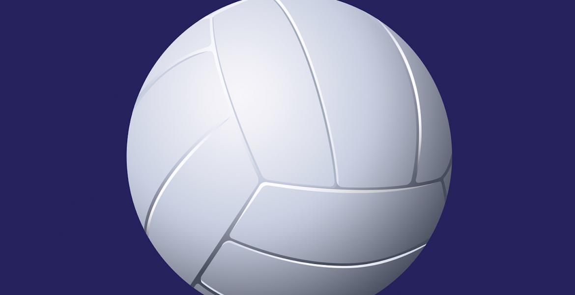 Volleyball image Volleyball image