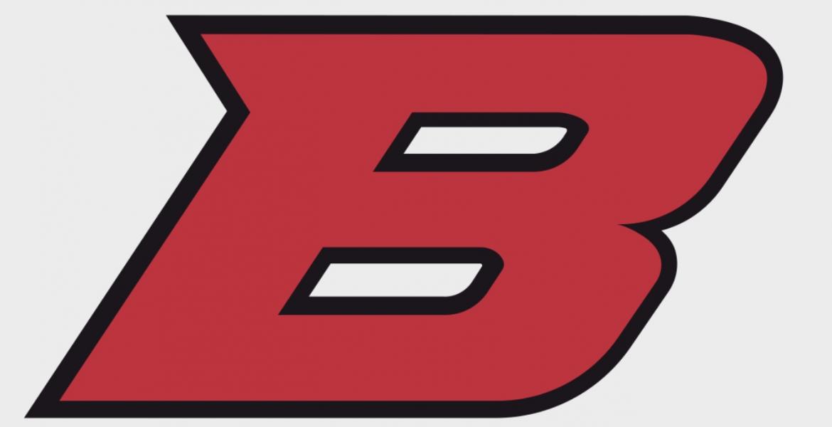 Ballinger Bearcats logo