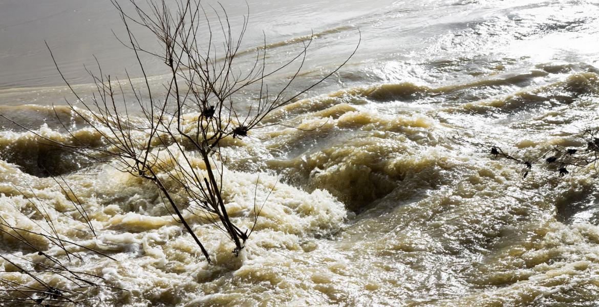 Flood Waters