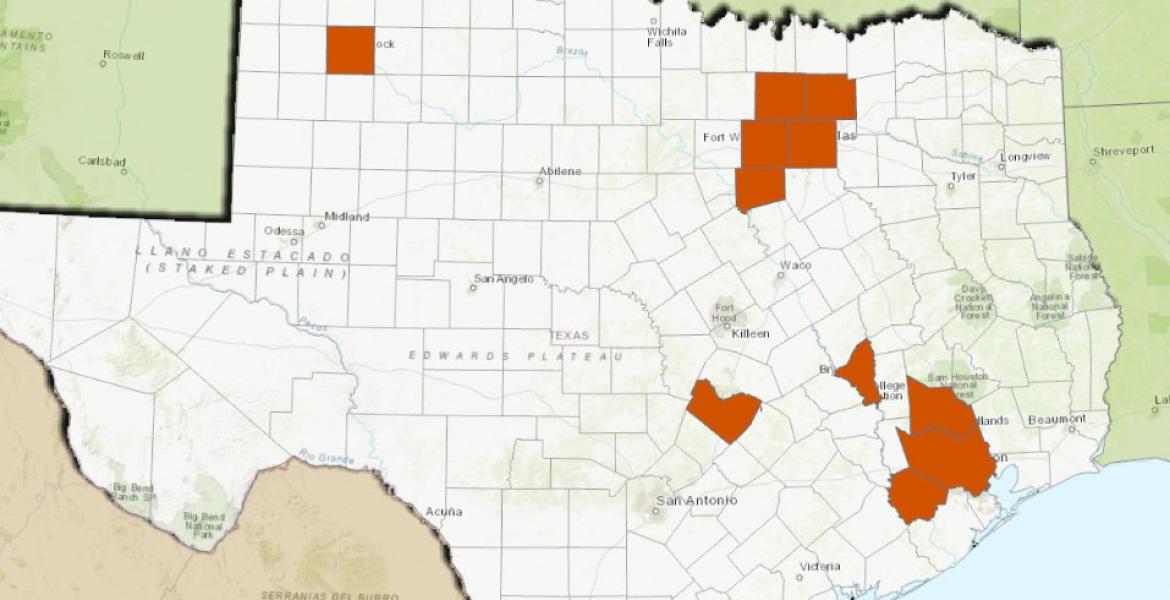 Texas West Nile Cases Doubles in 72 Hours Texas West Nile Cases Doubles in 72 Hours