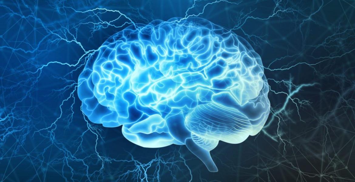 Dementia Prevention and Research Institute of Texas (DPRIT). Dementia Prevention and Research Institute of Texas (DPRIT).