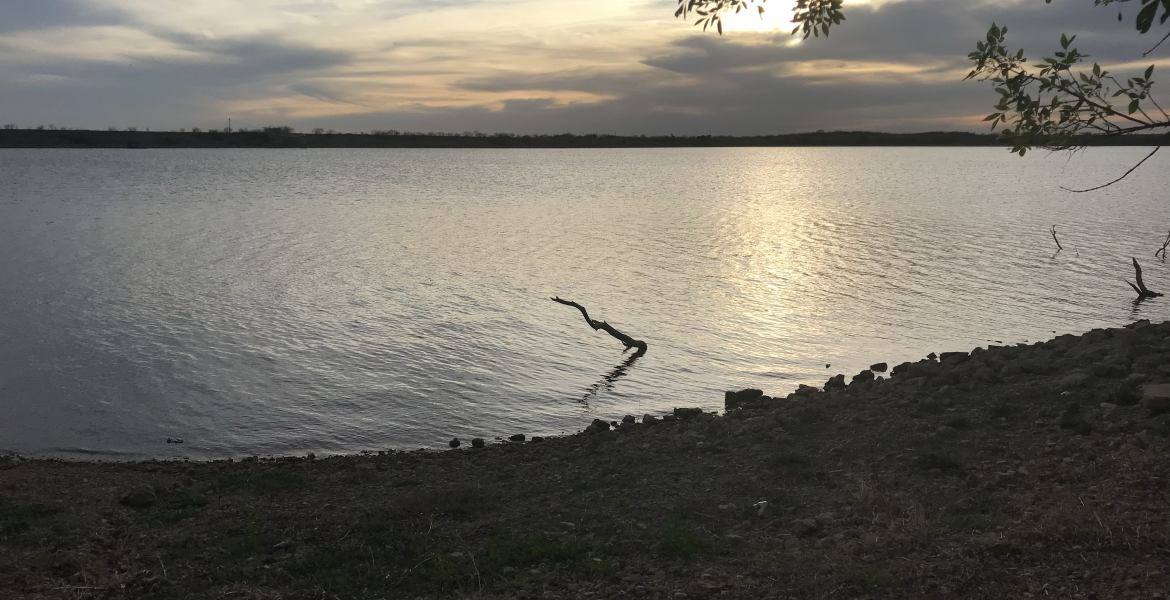 A recent electrofishing survey at Lake Winters showed an abundance of largemouth bass, according to the Texas Parks and Wildlife Department.