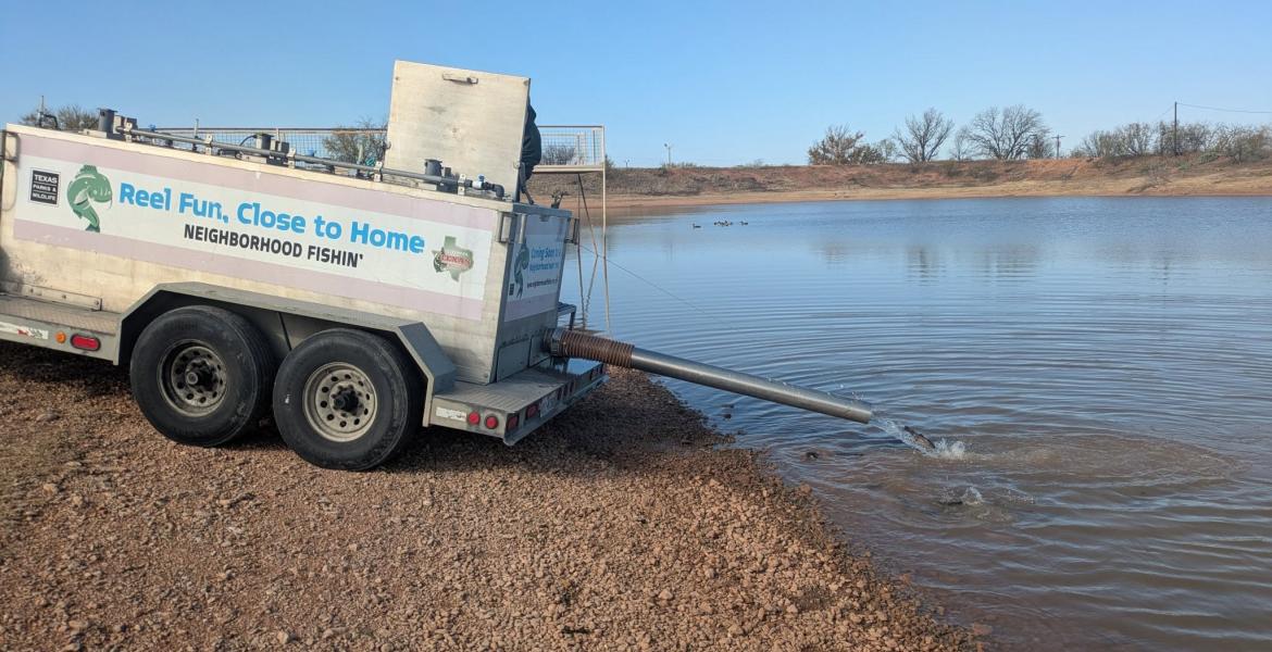 Lakes around the area are being stocked with rainbow trout over the next few months, according to the Texas Parks and Wildlife Department.