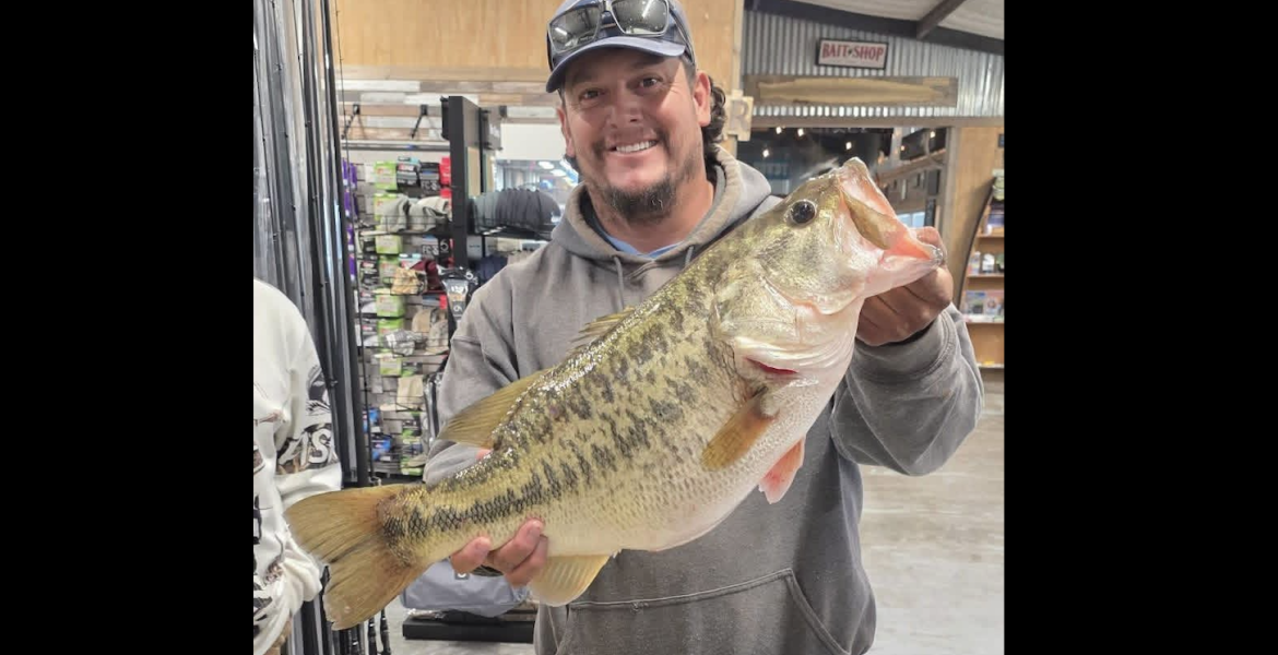 Robert Lee’s Brandon Soliz caught an 11.88-pound bass on Feb. 4 at O.H. Ivie Reservoir, marking the fifth ShareLunker that has been pulled from the lake in 2026.