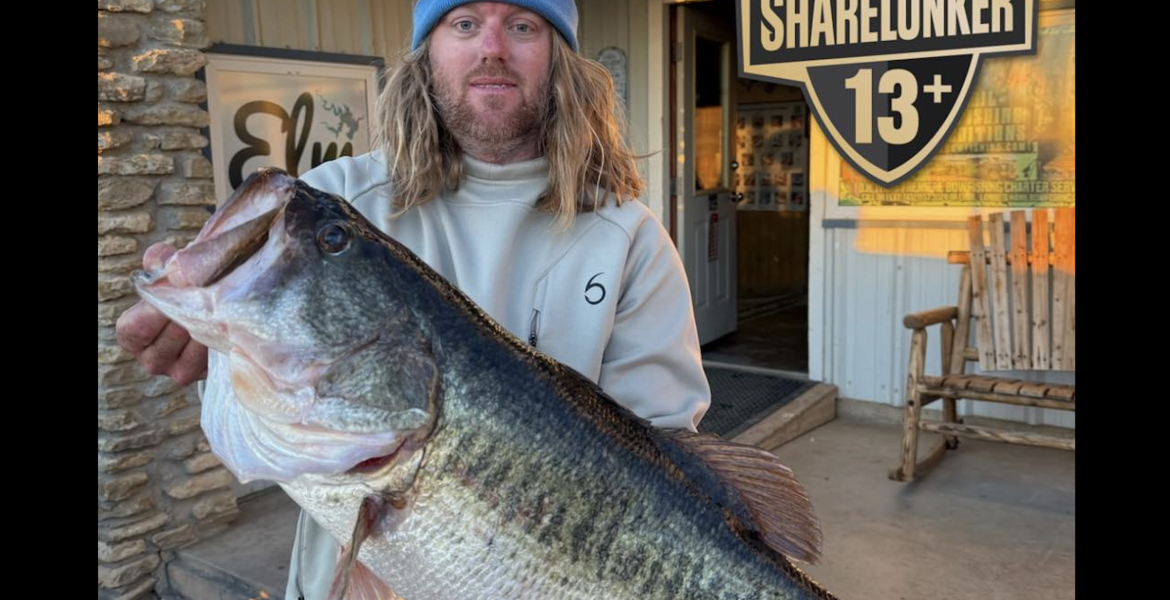 Josh Jones reeled in a 13.51-pound bass from O.H. Ivie Reservoir on Saturday, Feb. 21, marking the record fifth Legacy Class ShareLunker he has caught.