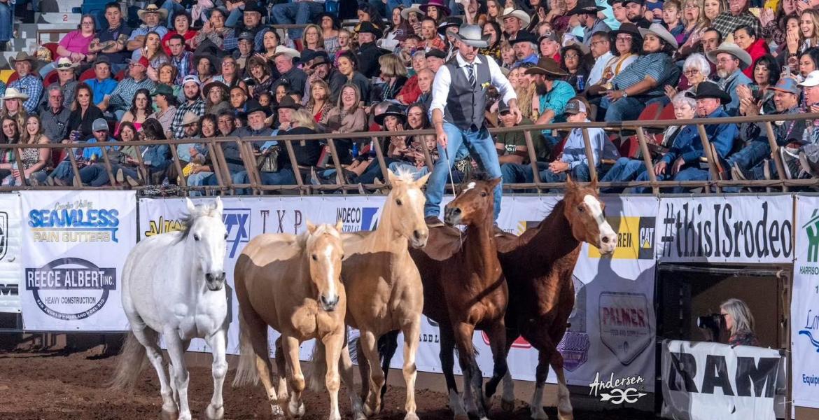 DAN JAMES – SPECIALTY ENTERTAINMENT