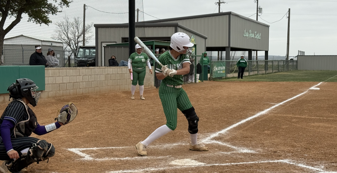 Wall Lady Hawks Softball 2026
