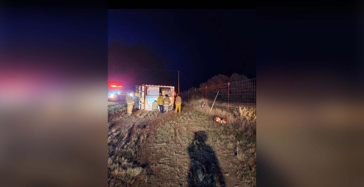Semi Hauling 80 Heifers Crashes in Kimble County