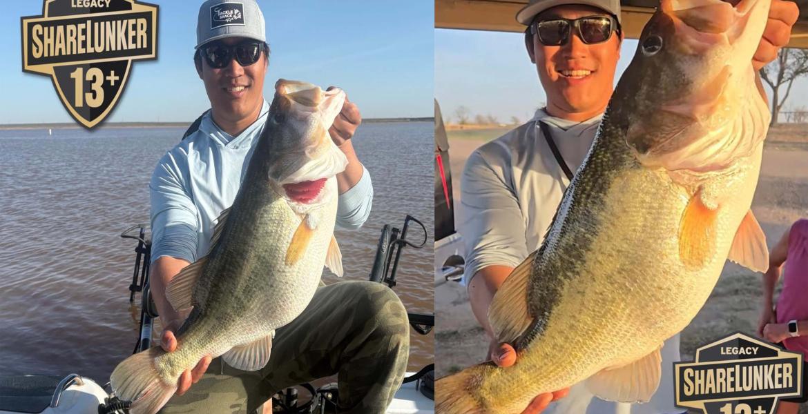 Lawrence Lee of Tolar reeled in two Legacy Class fish Tuesday, bringing his lifetime total to four, with three of those catches recorded during the 2026 collection season. It’s the first time in program history that an angler has caught three 13-pound or heavier Legacy Class fish in a single season.