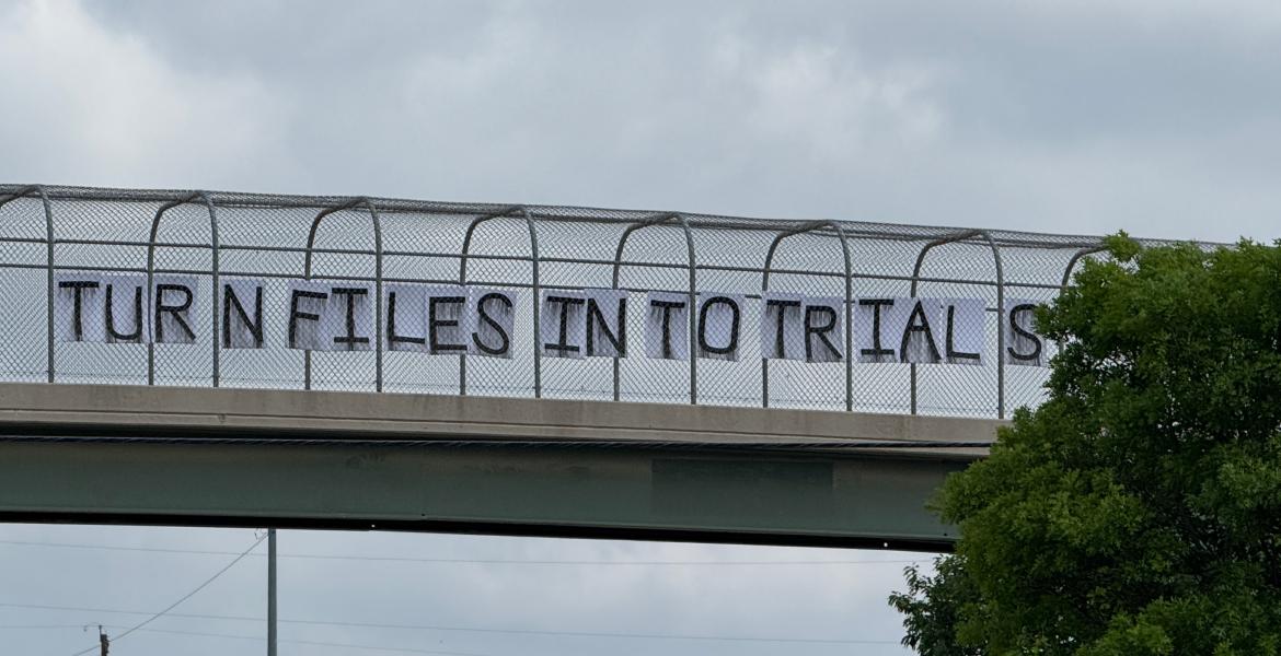 A group of liberal protestors received attention Wednesday evening in San Angelo by placing signs above South Bryant Boulevard.