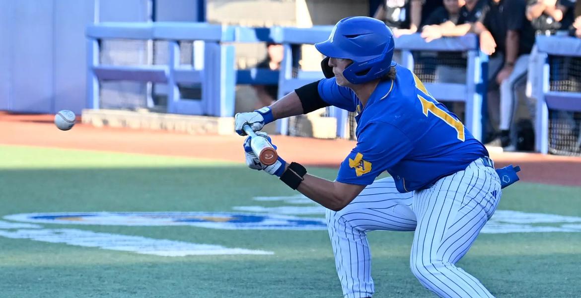 Angelo State's Hunter Holt lays down a bunt during the 2026 season against West Texas A&amp;M.