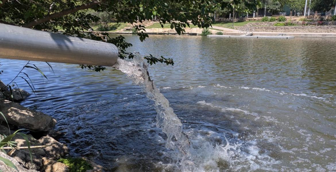 Catfish are being restocked in the Concho River