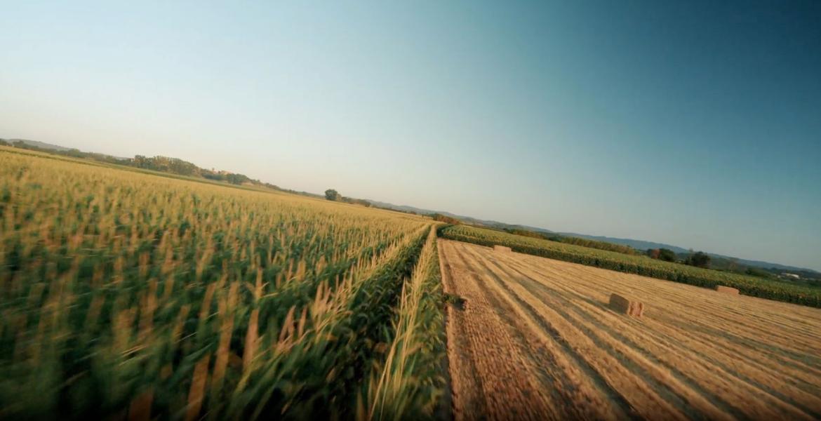 A representative image for the 2026 Farm Bill passed by the U.S. House on Apr. 30, 2026.