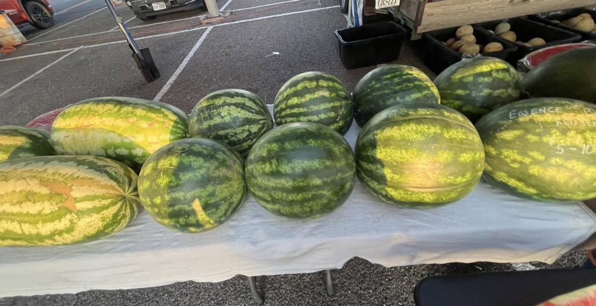 Watermelons are shown from the Concho Valley Farmer's Market.