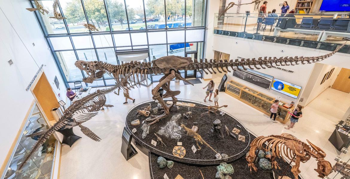 Night at the Mayer Museum