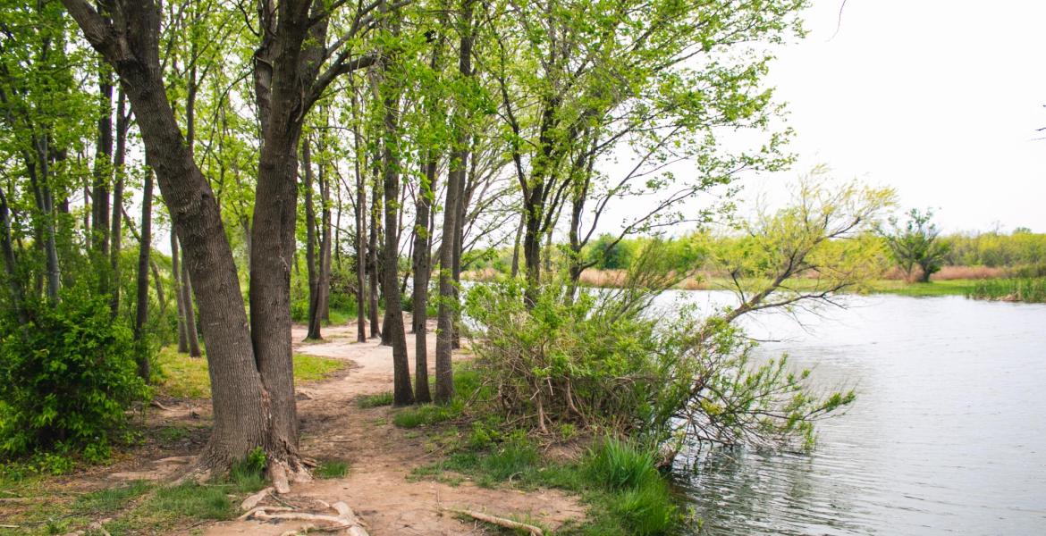 Lytle Creek at Cal Young Park in Abilene