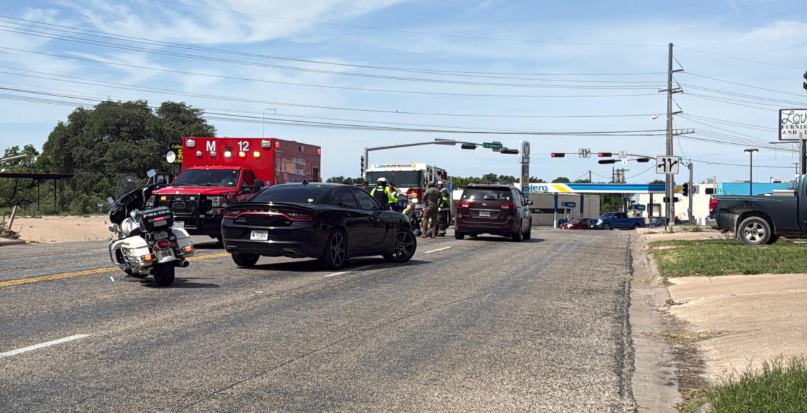 A dog running into traffic Monday caused one person to be taken to the hospital.