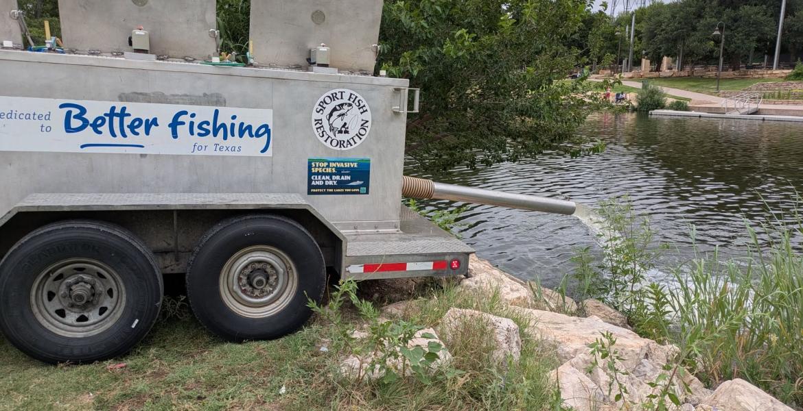 The Texas Parks and Wildlife Department’s Inland Fisheries Division stocked channel catfish into the Concho River in downtown San Angelo on Friday, June 19, 2026.