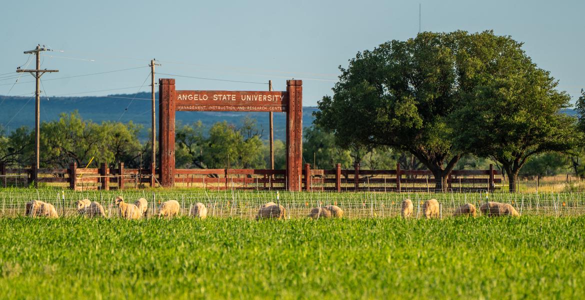 Angelo State MIR Center