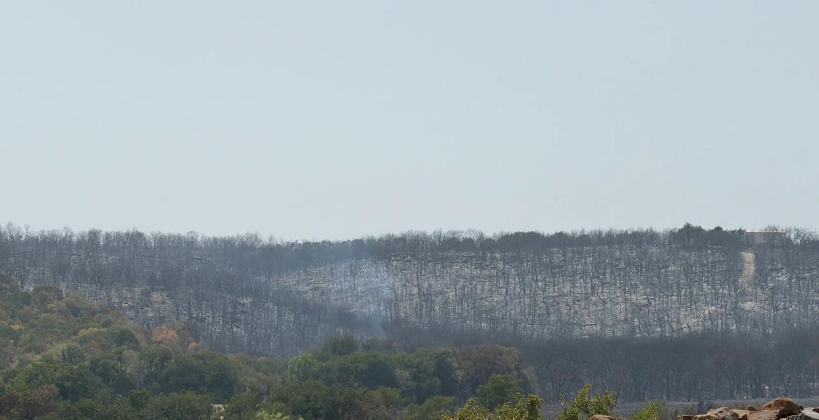Scorched trees show the devastation from the Ross Fire in North Texas on Aug. 27, 2026. The fire has been declared 100% contained.