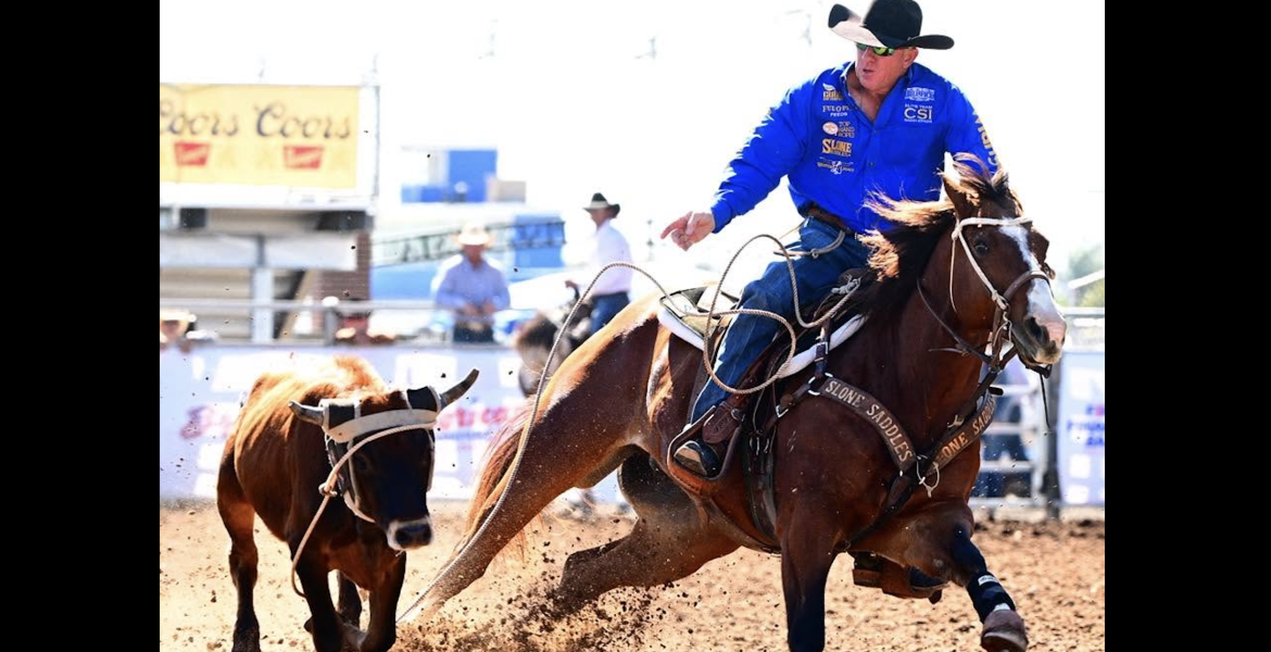 A competitor ropes a calf during the Cinch Roping Fiesta.