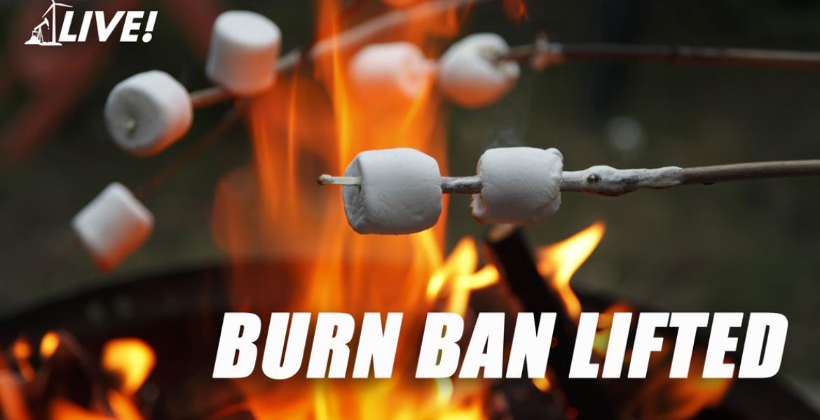 Cindy Jetton, Tom Green County Tax AssessorCollector, Dead