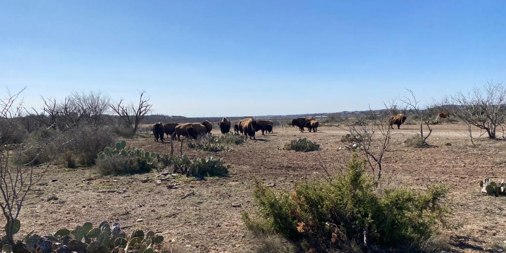 Texas Parks & Wildlife Announces $21.6 Million in Grants - Vimarsana News