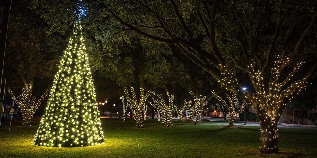 ASU To Host Family Friendly Activities During Next Week's Christmas Tree Lighting - Vimarsana News