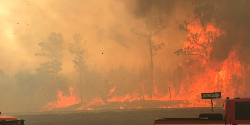 Parks & Wildlife to Investigate Out-of-control Prescribed Burn at State Park that Scorched Bastrop County - Vimarsana News