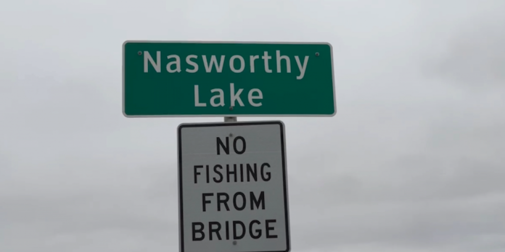 San Angelo Woman Dies When Pickup Plunges Into Lake Nasworthy - Vimarsana News