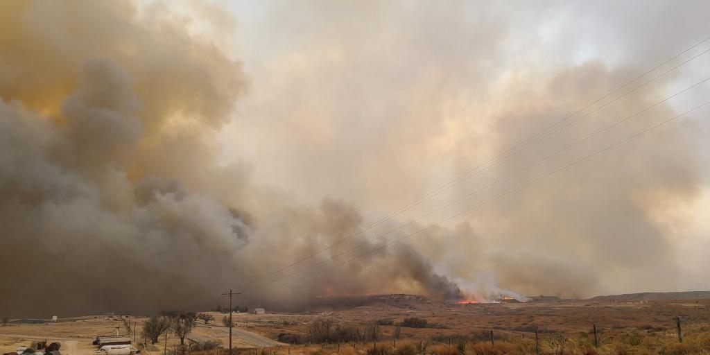 Texas Forest Service: Wildfires Continue to Threaten Lives & Property - Vimarsana News