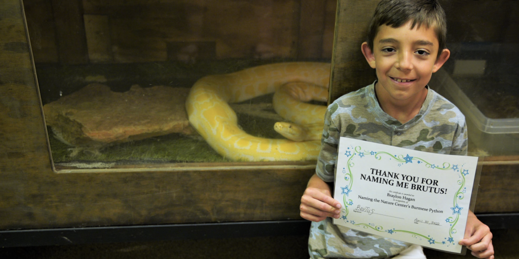 Area Youngster Squeezes Past Competition to Name New Python at the San Angelo Nature Center - Vimarsana News