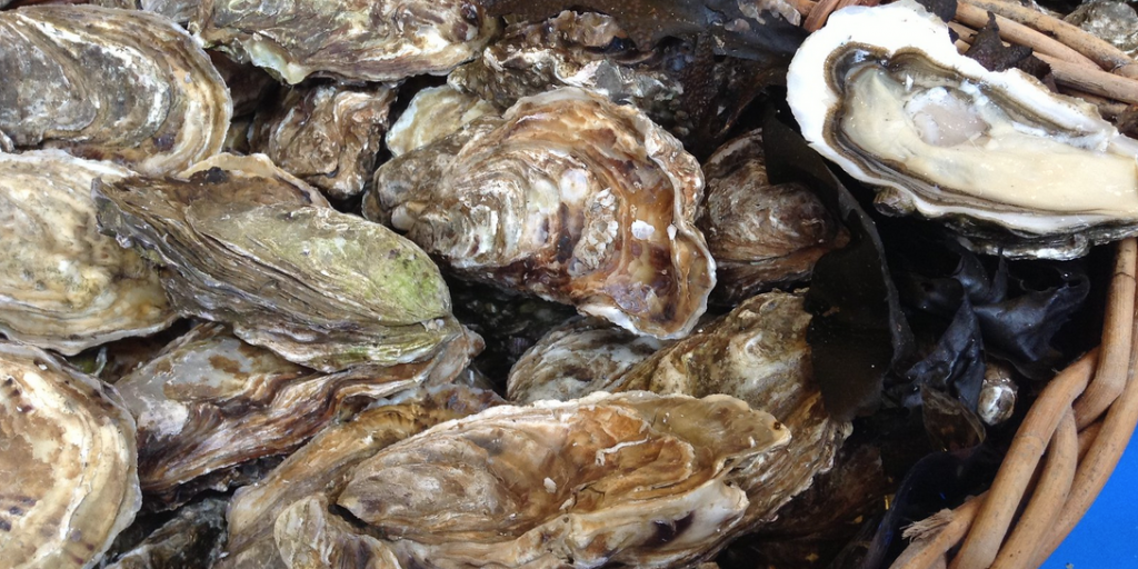 20 of 29 Texas Shellfish Harvest Areas Closed as Season Starts - Vimarsana News