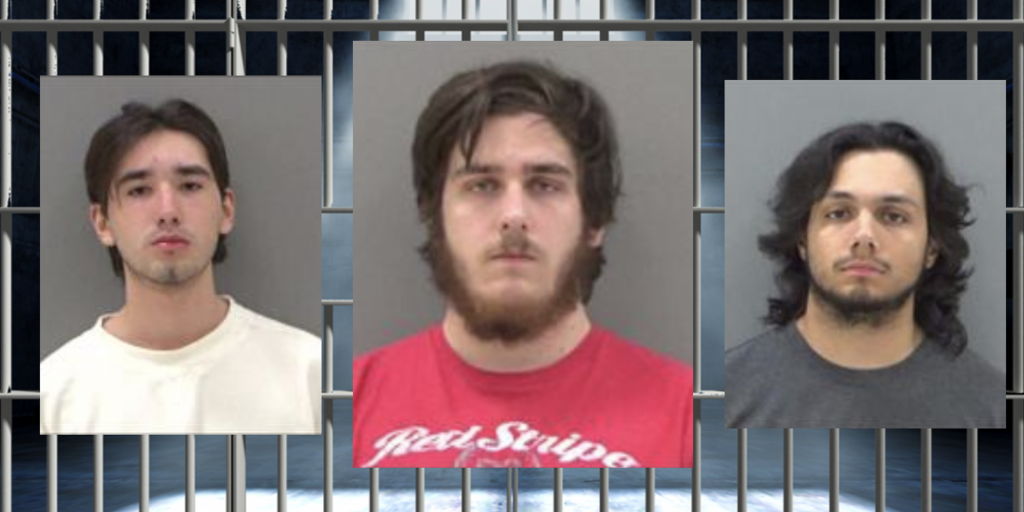 Tom Green Co. Sheriff's Office Operation Results in 3 Arrests for Possession of Lewd Images of Children - Vimarsana News