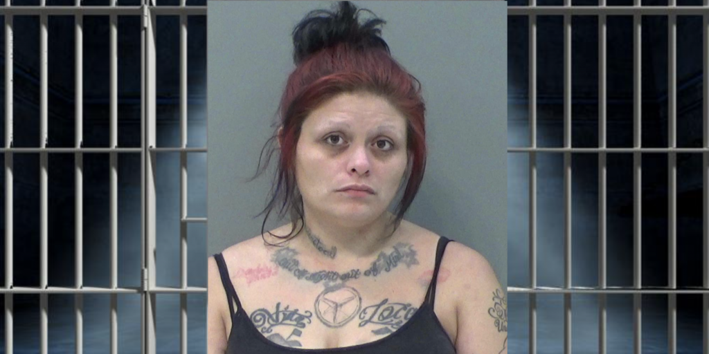 Troubled Local Meth Dealer Sent to Prison - Vimarsana News