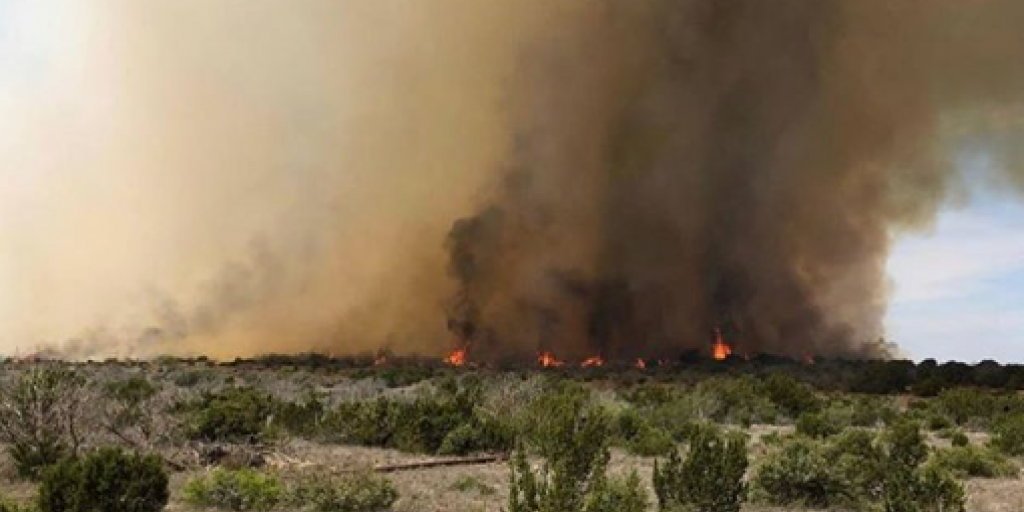 Mesquite Heat Wildfire Now 100% Contained - Vimarsana News