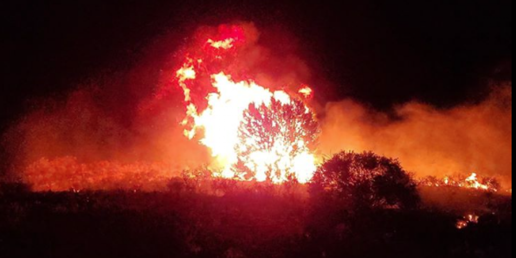 Wind-Driven Wildfires Scorch Texas Saturday - Vimarsana News