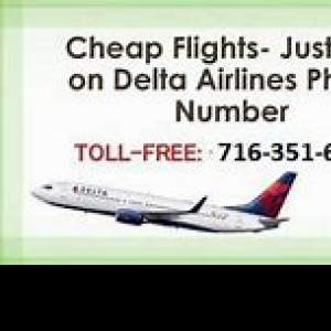Profile picture for user deltaairlinesgroupbookingnumber