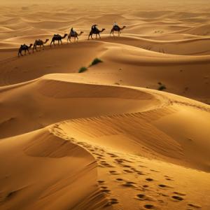 Profile picture for user Tourists' Fear of Unintentionally Offending Local Customs