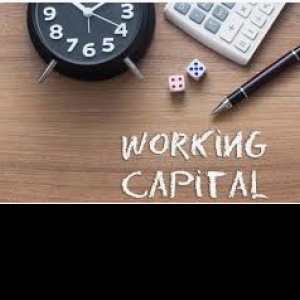 Profile picture for user Working Capital Loan Essentials for Small Businesses and Rap