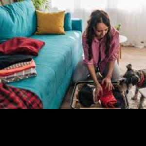 Profile picture for user 7 Preparation Steps Before Leaving a Dog at a Boarding